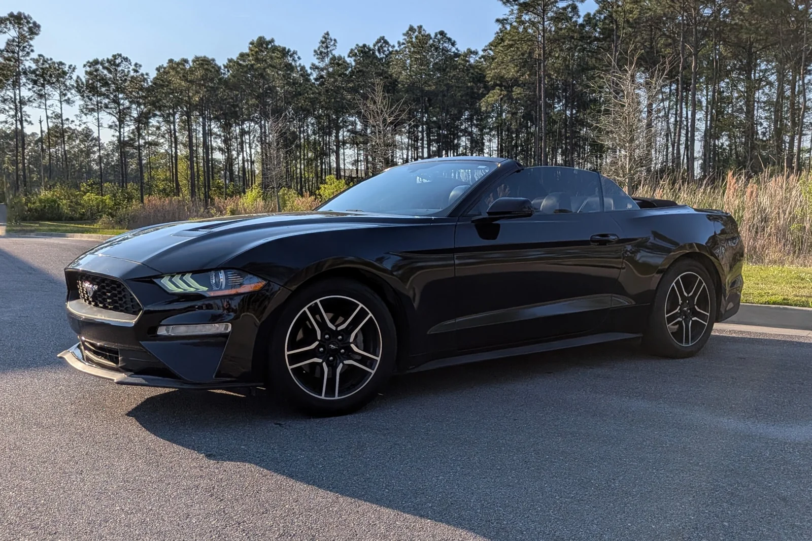 Ford Mustang Convertible — Black rental in Biloxi Mississippi
