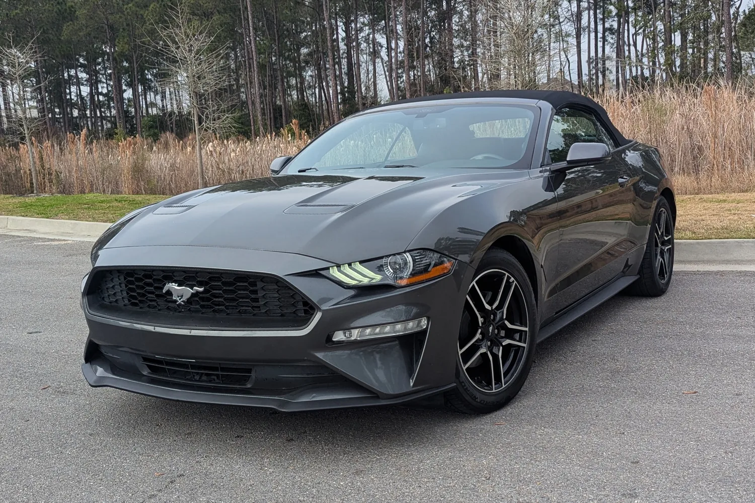 Ford Mustang Convertible rental in Biloxi Mississippi